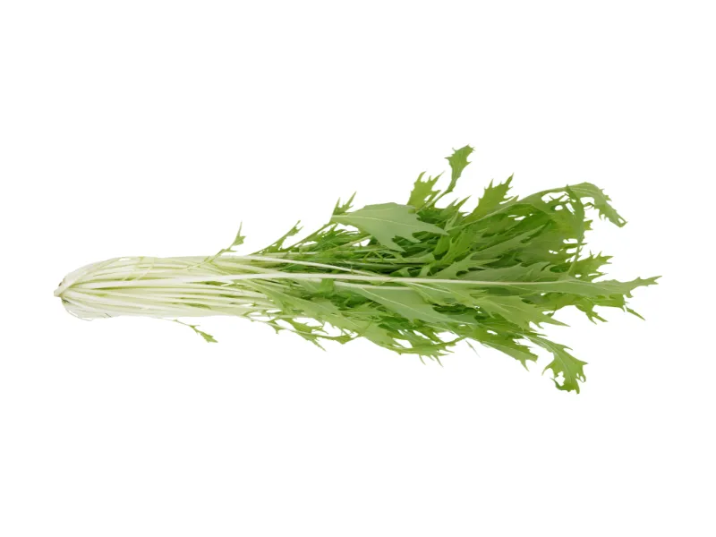 健康にいい野菜ランキング7位みずな