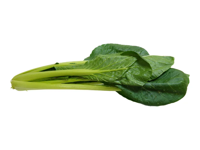 健康にいい野菜ランキング4位こまつな