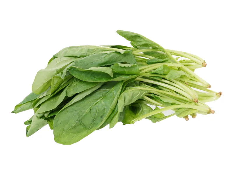 健康にいい野菜ランキング3位ほうれんそう