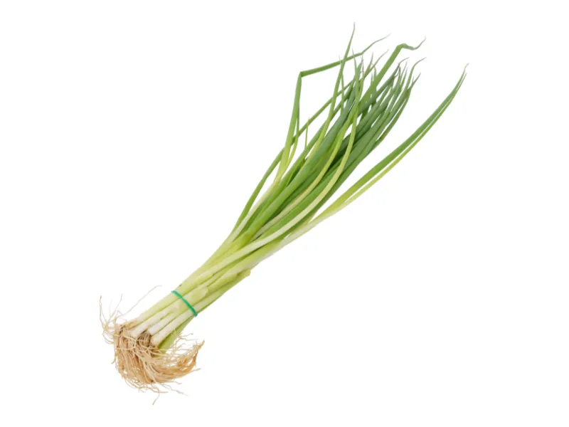 健康にいい野菜ランキング6位こねぎ