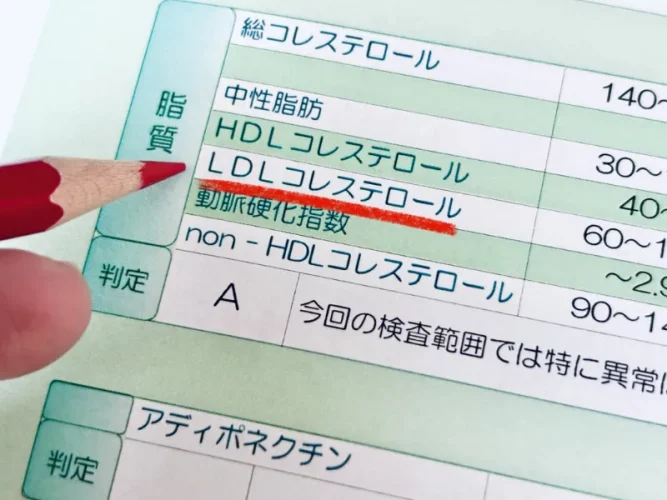 LDLコレステロールとは？高い原因や放置リスク、管理栄養士が教える食事の工夫までご紹介
