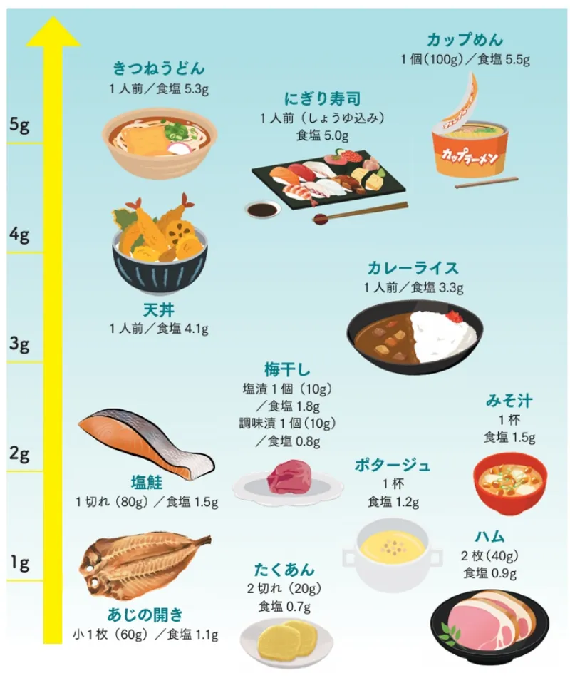 ナトリウム(食塩)と カリウムを測って健康に - ナトカリ 手帳