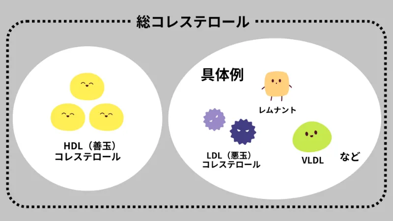 コレステロールの分類