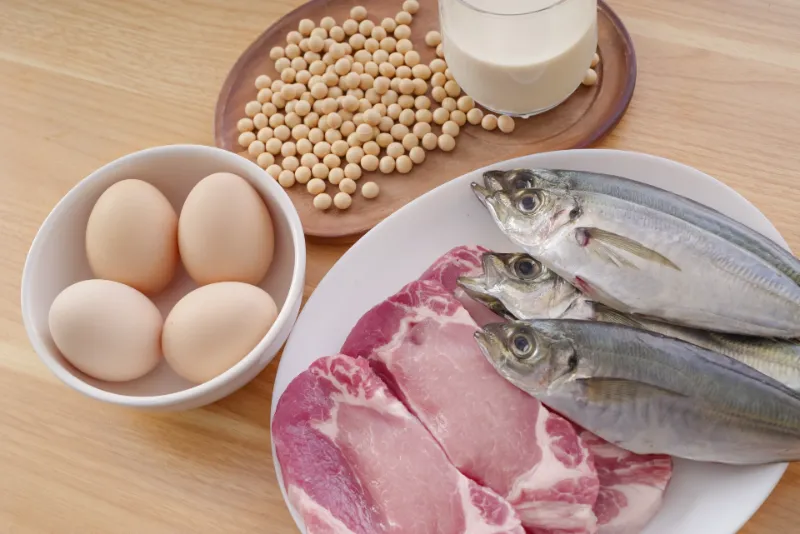免疫力を高める食べ物(2)免疫細胞の材料を含む食材