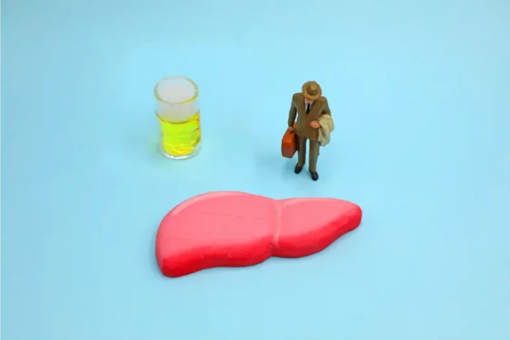 脂肪肝の原因と対策は？管理栄養士が症状・検査値・食事のキホンまで徹底解説