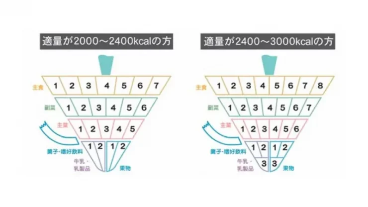 出典：農林水産省｜「食事バランスガイド」教材 中高年向け解説書