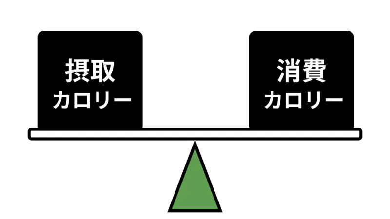 右に摂取カロリー、左に消費カロリーが描かれたシーソー